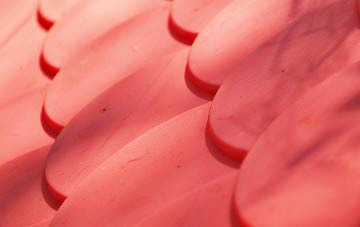 Salmonhutch plastic roof costs